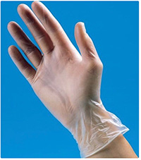 Powder Free Vinyl Gloves